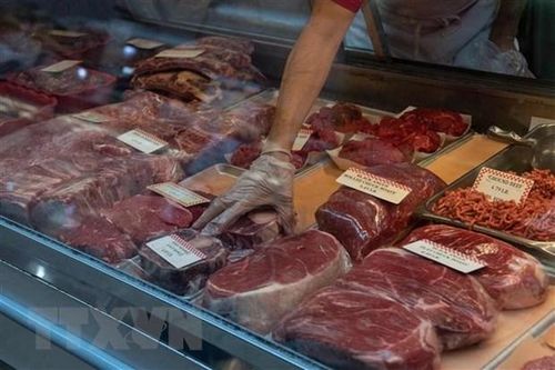 Australia phát hiện virus gây bệnh lở mồm long móng trong thịt lợn
