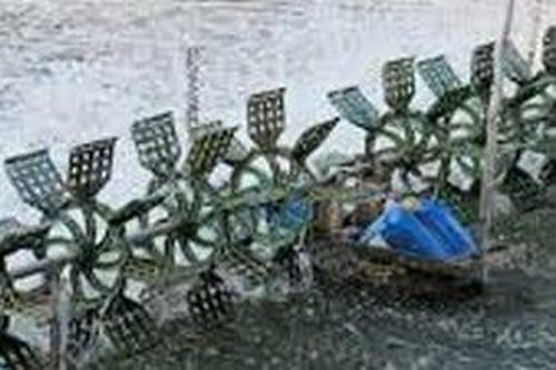 Trượt chân xuống ao tôm, một phụ nữ bị cánh quạt máy oxy cuốn tử vong