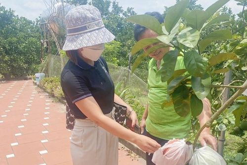 Bắc Giang: Dân khổ vì Trung tâm Khuyến nông tỉnh cho cung cấp phân bón lạ 'toàn tiếng Anh'