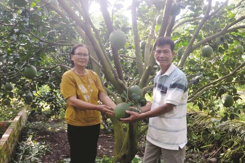 Phát triển kinh tế từ mô hình du lịch vườn sinh thái