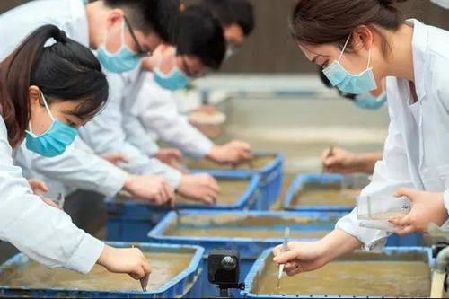 Trung Quốc tham vọng tạo ra giống cây lương thực mới trên vũ trụ
