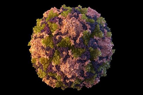 Virus bại liệt trở lại Mỹ sau gần một thập kỷ