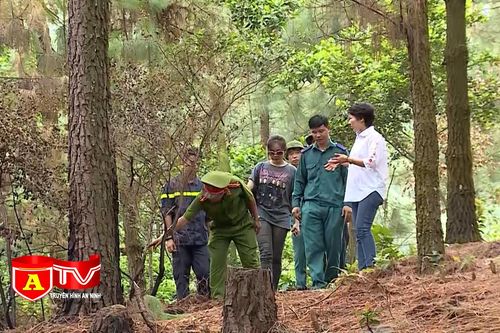 Cảnh báo nguy cơ cháy rừng trong thời tiết cao điểm nắng nóng