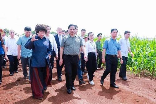 Doanh nghiệp cần quan tâm phát triển kinh tế xanh