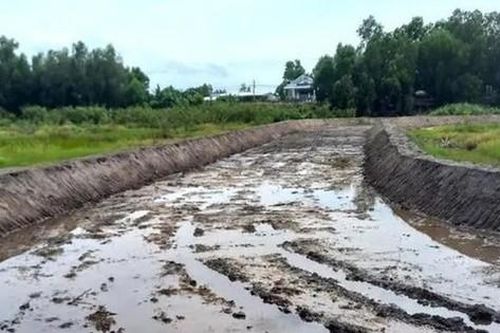 Xây đường đua bò trái phép ở Rừng tràm Trà Sư: Chủ dự án giải thích do sơ suất cá nhân