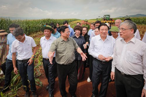 Thủ tướng Phạm Minh Chính thăm và làm việc tại vùng sản xuất nông nghiệp công nghệ cao tỉnh Nghệ An