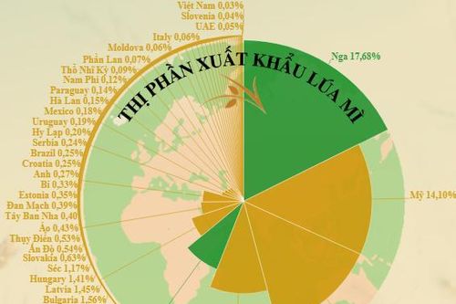 Vị trí quan trọng của Nga và Ukraine trong thị trường lúa mỳ toàn cầu