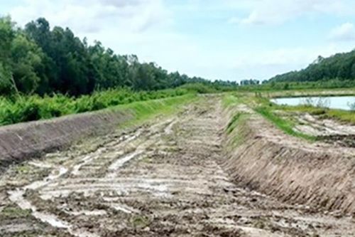 Chủ đầu tư lên tiếng về ồn ào quanh dự án Sân đua bò tại Rừng tràm Trà Sư
