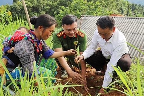 'Ngày cuối tuần cùng dân'
