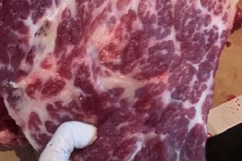 Rủ nhau 'săn' thịt u hoa bò, giá hơn 300.000 đồng/kg nhưng lúc nào cũng 'cháy hàng'