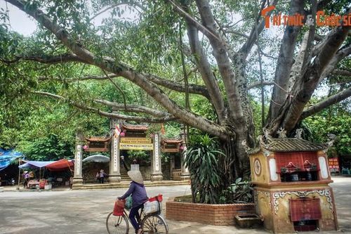 Khám phá ngôi chùa là 'điểm du lịch Di tích quốc gia đặc biệt'