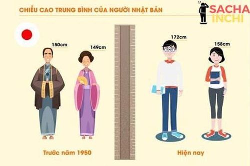 Cuộc 'cách mạng dinh dưỡng' giúp tăng chiều cao cho học sinh tại các trường học Nhật Bản