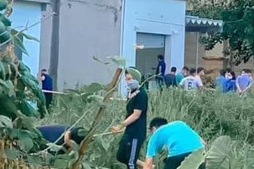 Thi thể người phụ nữ không nguyên vẹn ở Hải Phòng: Xác định nguyên nhân ban đầu