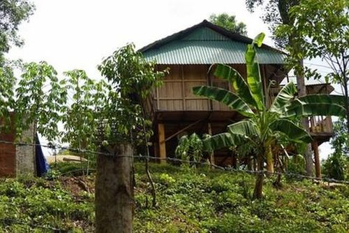 Bình Định: Tháo dỡ công trình trái phép của vợ Chánh án Tòa án Nhân dân huyện