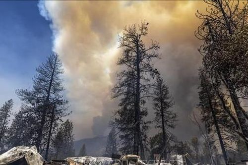 Hoa Kỳ: Bang California thiệt hại nặng do cháy rừng