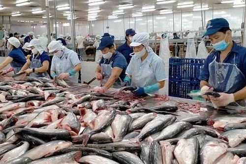 Nhiều lãnh đạo doanh nghiệp thủy sản bị tín dụng đen đe dọa