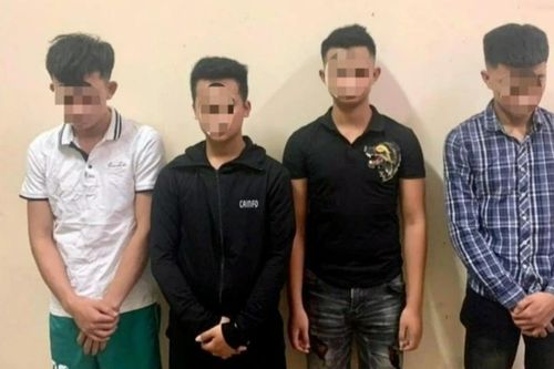 3 nam sinh phá ruộng dưa hấu cụ ông ở Nghệ An có đậu tốt nghiệp THPT không?