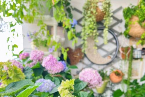 Khu vườn ban công chỉ 4m² khiến bạn nhìn là mê