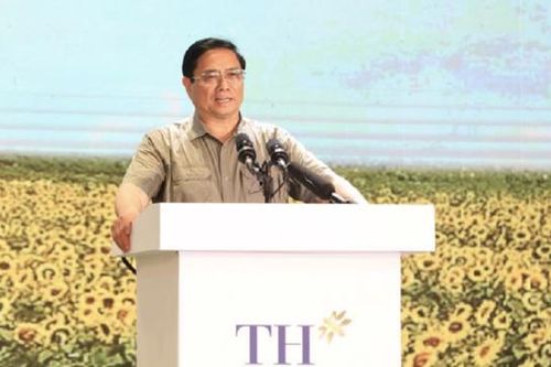 Thủ tướng: Phát triển kinh tế tư nhân trở thành một động lực quan trọng của nền kinh tế đất nước