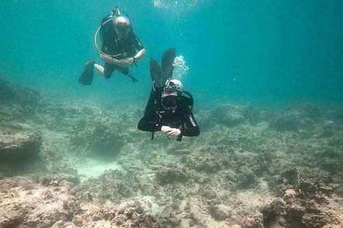 Nha Trang đề xuất lắp camera giám sát, bảo vệ san hô ở khu bảo tồn Hòn Mun