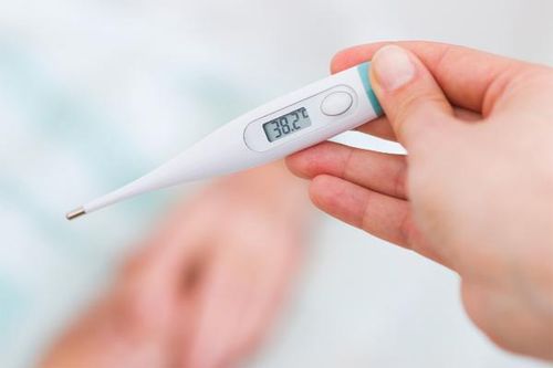 Viêm màng não do loại nấm hiếm gặp, tỷ lệ tử vong 90%