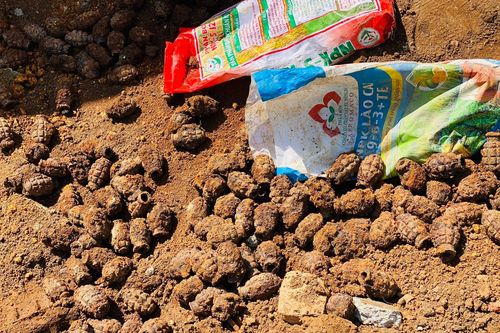 Bắc Giang: Đào móng nhà phát hiện hàng chục đầu đạn pháo, vỏ lựu đạn