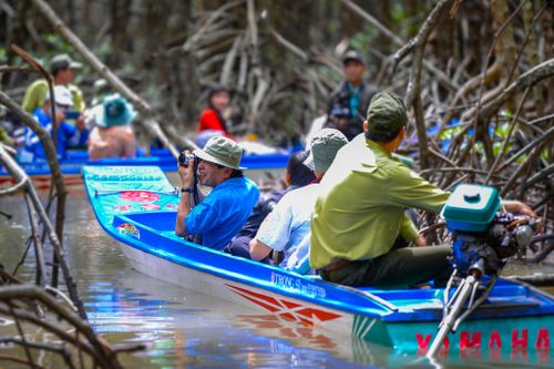Cà Mau nở rộ loại hình du lịch sinh thái