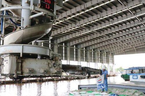 NPK Cà Mau cùng bà con nông dân nâng cao năng suất cây trồng