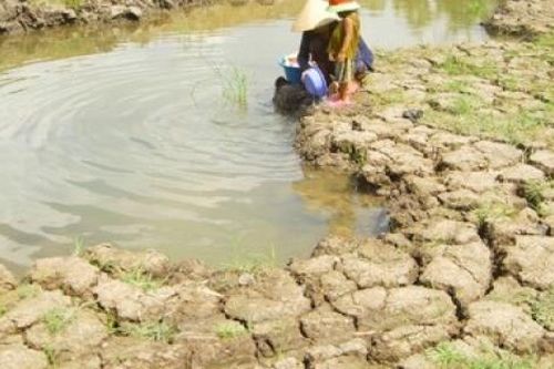 Ứng phó với biến đổi khí hậu, Việt Nam chọn phương thức 'một mũi tên trúng hai đích'