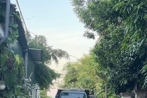 Nghệ An: Lùi xe bất cẩn, xe tải cán cháu bé 2 tuổi tử vong