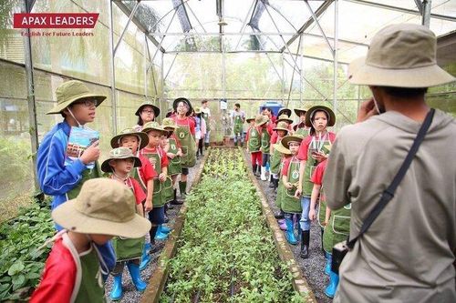 Các công ty con của Egroup tổ chức trại hè ấn tượng cho các học viên