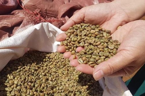 Trung Quốc luôn là thị trường tiêu thụ nhiều cà phê Việt Nam