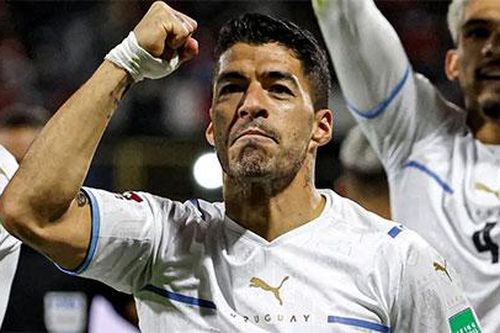 Luis Suarez tìm được bến đỗ mới