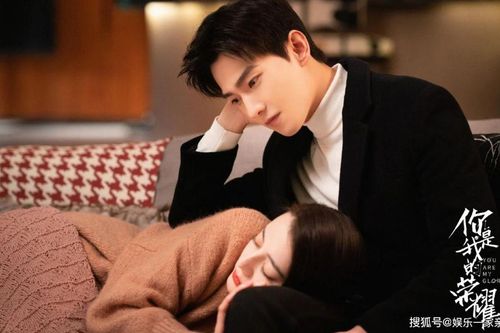 Em Là Niềm Kiêu Hãnh Của Anh kỉ niệm 1 năm phát sóng, Dương Dương và Địch Lệ Nhiệt Ba bị xào couple?