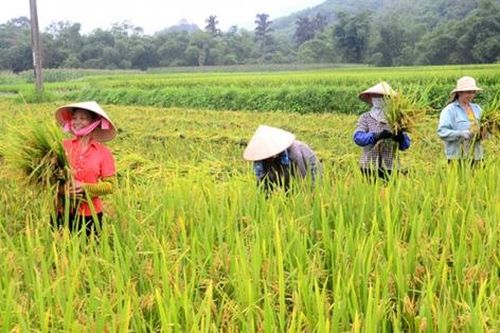Nhẫn nại hy sinh, suốt đời thầm lặng