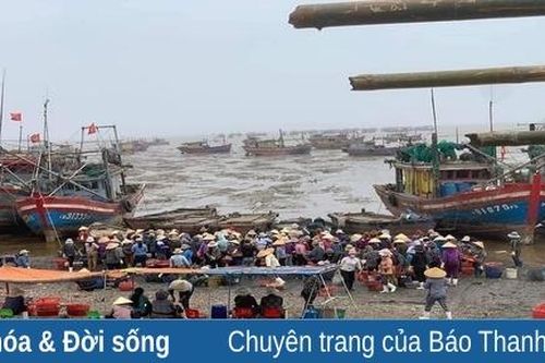 Sôi động tàu, thuyền cập cảng Ngư Lộc
