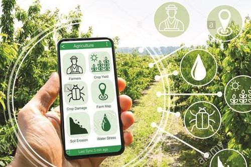 Phát triển, hoàn thiện hệ thống cơ sở hạ tầng số, chuyển đổi số trong nông nghiệp, nông thôn