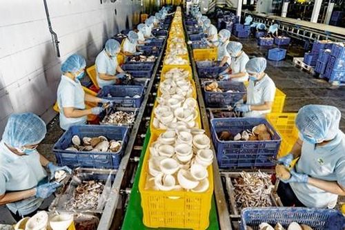 Kinh tế phục hồi với nhiều tín hiệu khởi sắc