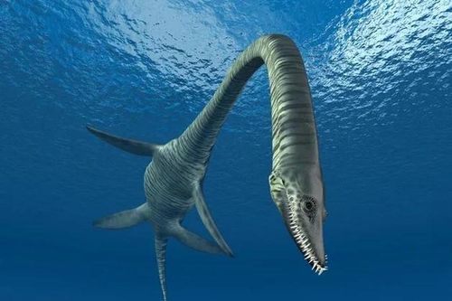 Phát hiện sốc: Quái vật hồ Loch Ness có thật, lộ bằng chứng khó cãi?