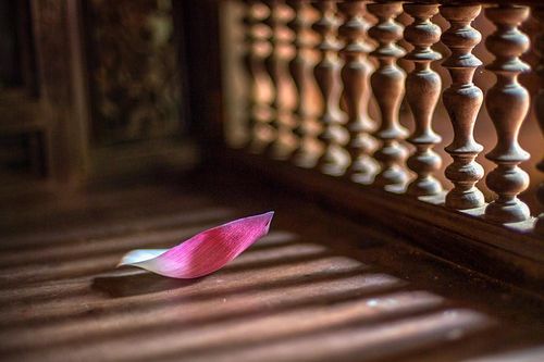 Khi thiền môn vướng bụi trần