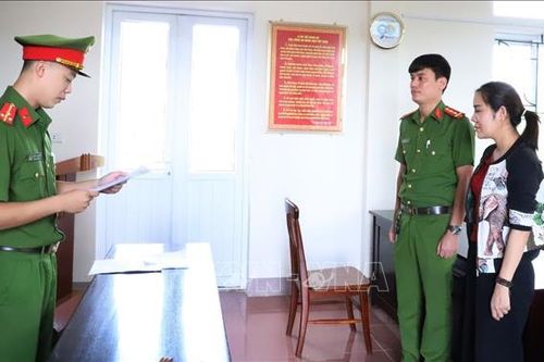 Khởi tố, tạm giam nữ kế toán doanh nghiệp lừa đảo chiếm đoạt tài sản