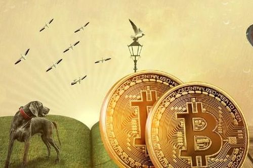 Bitcoin vùng dậy từ đống tro tàn?