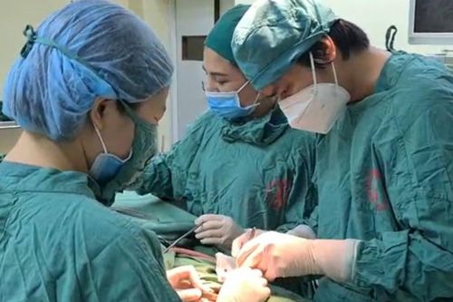 Bệnh nhân được lấy ra 10 chiếc răngmọc ngầm trong khối u xương hàm