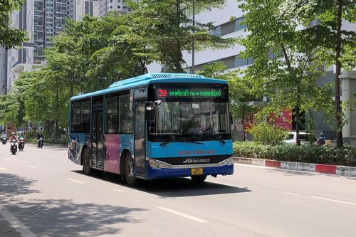 Không trợ giá, không doanh nghiệp xe buýt nào sống nổi