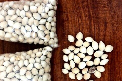 Bà lão rút sổ tiết kiệm 300 triệu đồng để mua gói thuốc giả