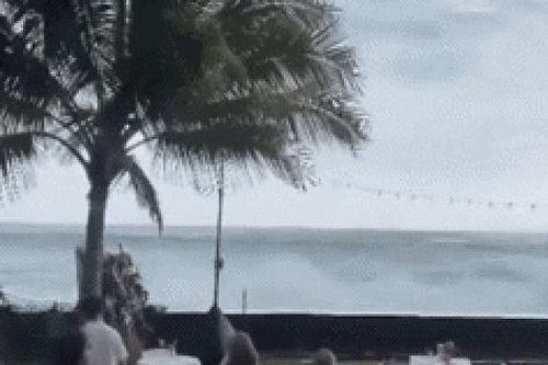 Khoảnh khắc đáng nhớ tại hôn lễ ở Hawaii: Con sóng lớn vô tình 'cuốn trôi' bữa tiệc khiến khách mời tán loạn
