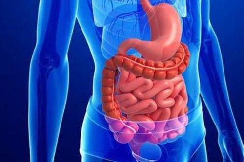 Để tăng cường sức khỏe, đừng quá áp lực lên hệ tiêu hóa!