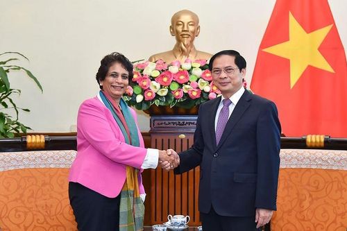 Trợ lý Tổng thư ký Liên hợp quốc ấn tượng với các cam kết mạnh mẽ của Việt Nam về ứng phó với biến đổi khí hậu