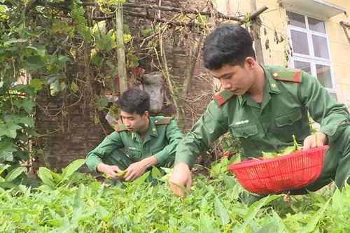 Bảo đảm công tác hậu cần, góp phần hoàn thành thắng lợi mọi nhiệm vụ được giao