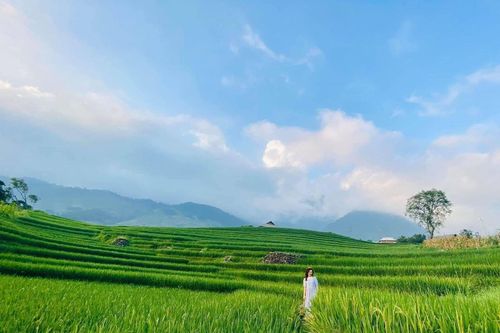 Du lịch Sa Pa tận hưởng mùa hè tuyệt vời của miền Bắc Việt Nam
